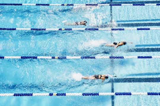 Swimming Federation of India join hands with Moregold Sports