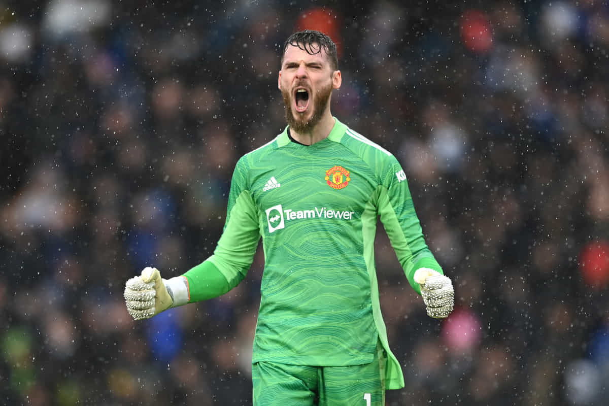 Top five goalkeepers with most saves in single Premier League match