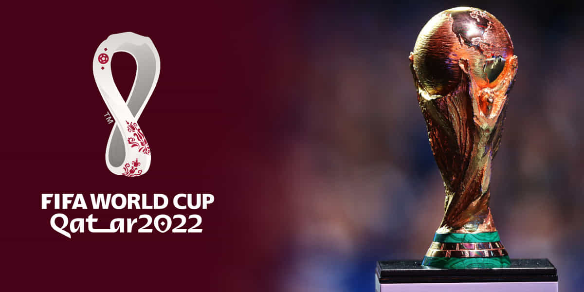 Know the key rules introduced by Qatar government for FIFA World Cup 2022