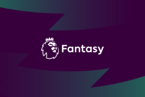 What is the wildcard chip in Fantasy Premier League?