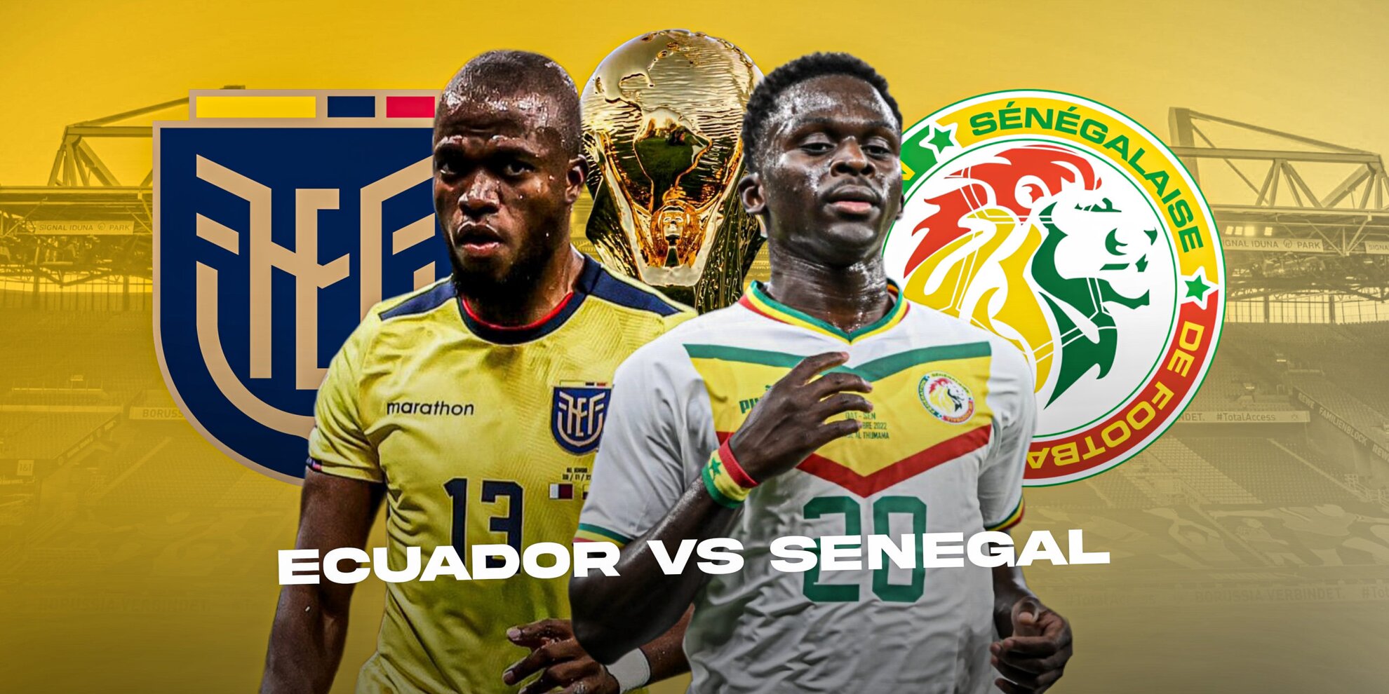 Ecuador vs Senegal: Predicted Line-up, injury news, head-to-head