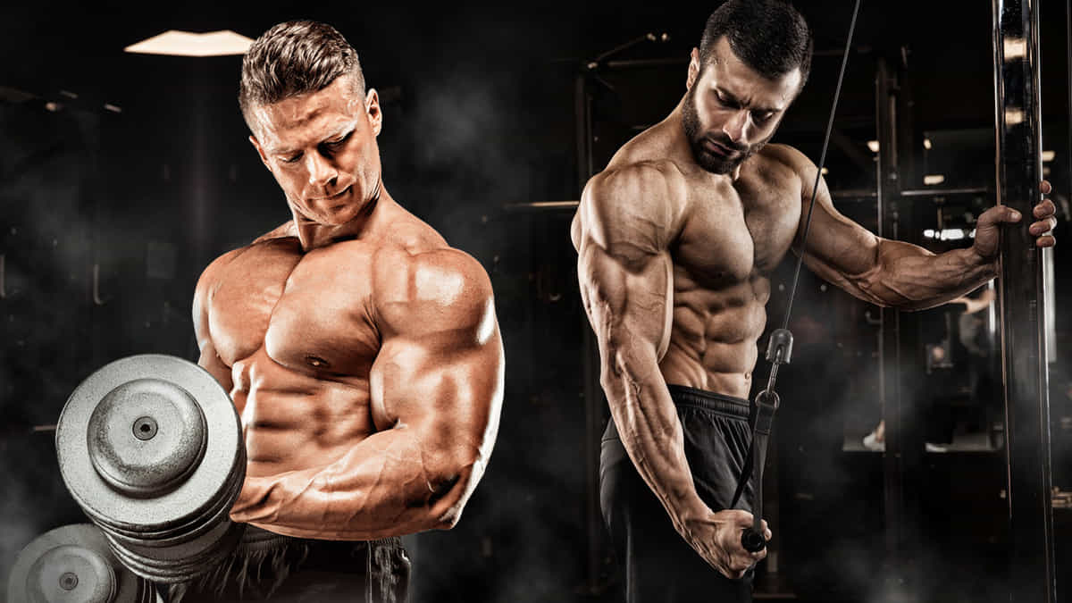 Steroids: Meaning, Uses, Work and Side Effects