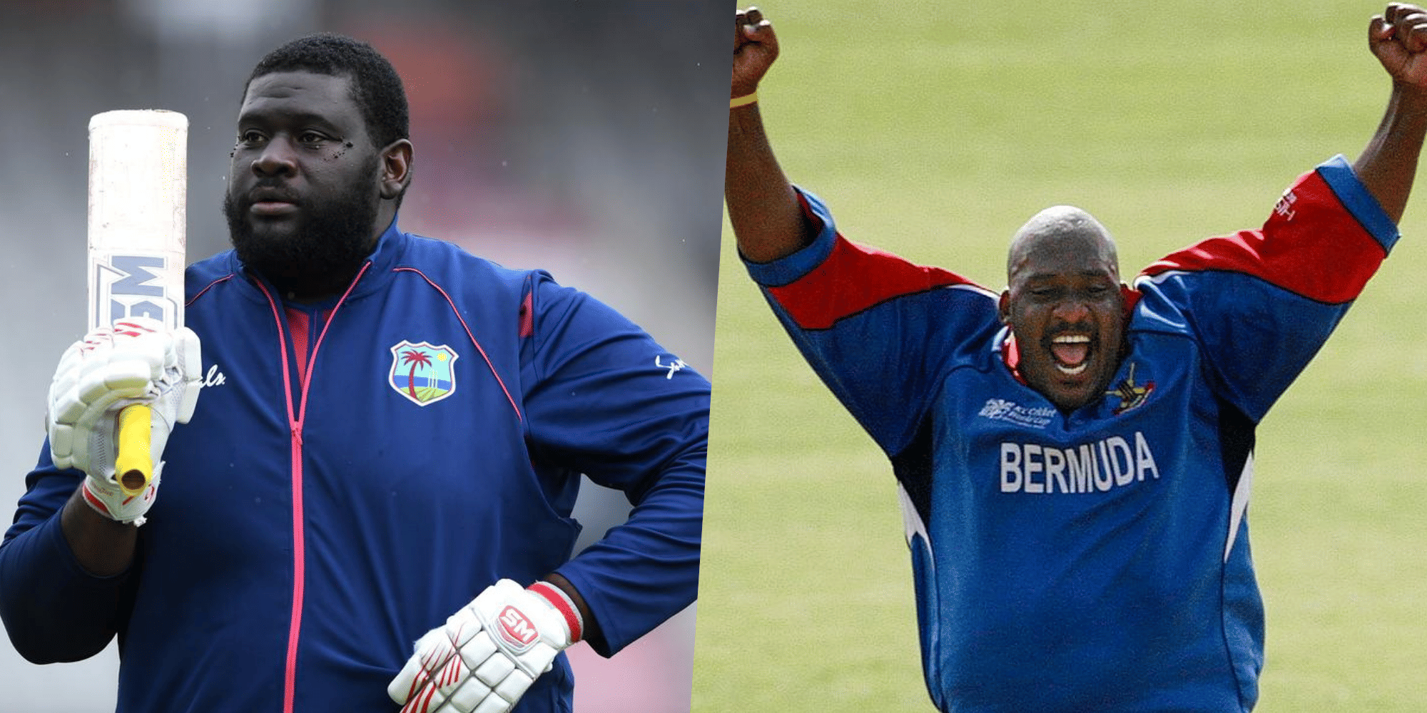 क्रिकेट इतिहास के टॉप पांच सबसे वजनदार खिलाड़ी