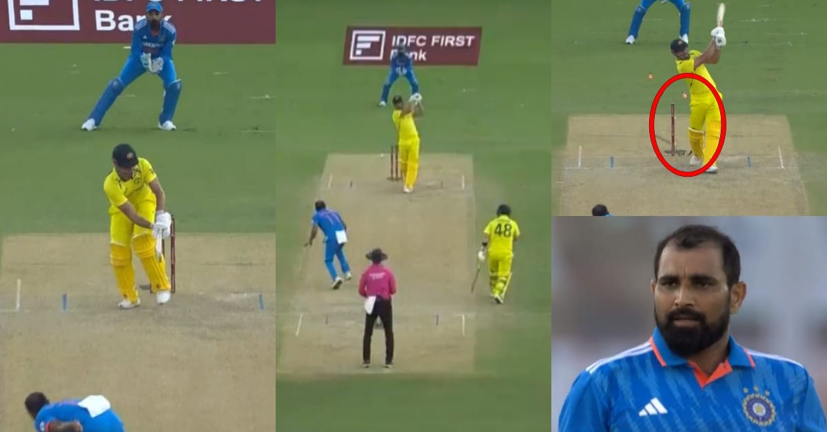 IND vs AUS: Watch - Mohammed Shami takes revenge, castles Marcus Stoinis after being thrashed for two consecutive boundaries