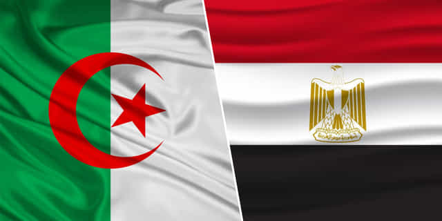 Egypt vs Algeria: Predicted lineup, injury news, head-to-head, telecast