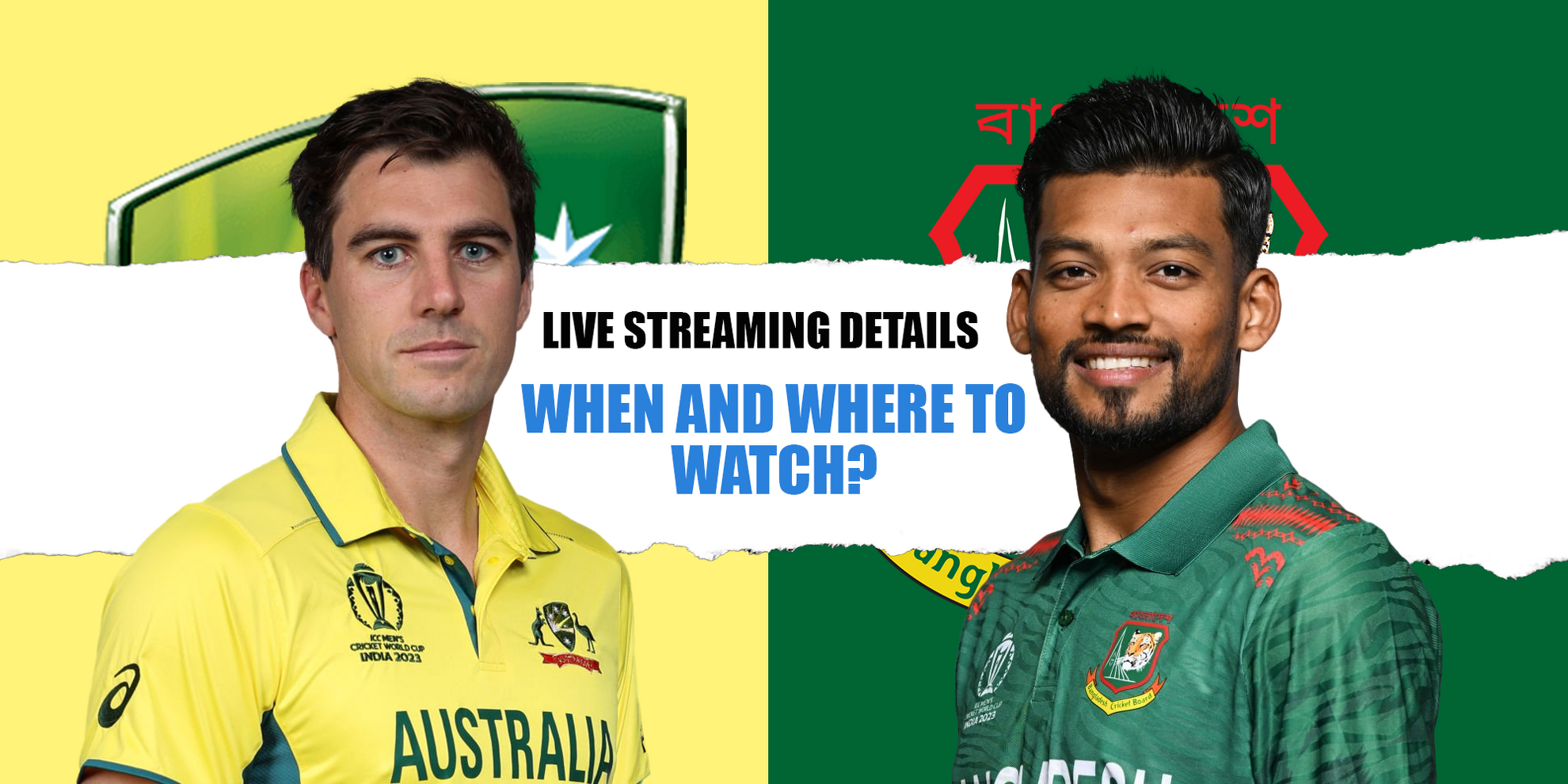 India vs. Australia 2023 livestream: Watch Cricket World Cup final for free  | Mashable