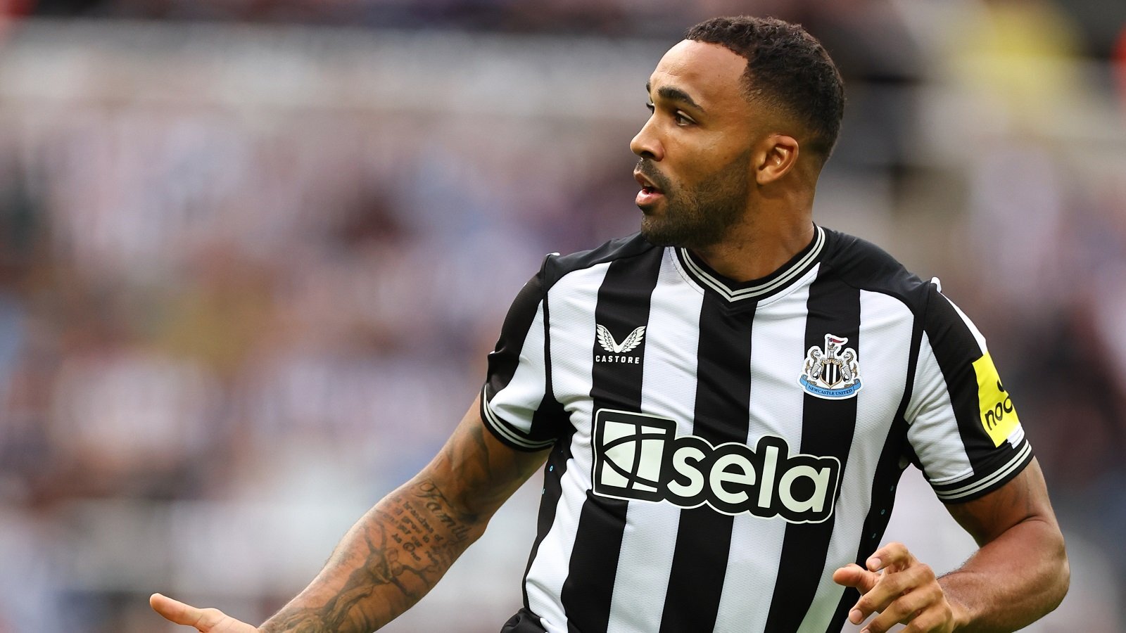 AC Milan plotting January move for Newcastle forward Callum Wilson