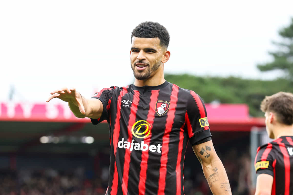 Bournemouth not looking to sell Dominic Solanke in January despite Newcastle interest