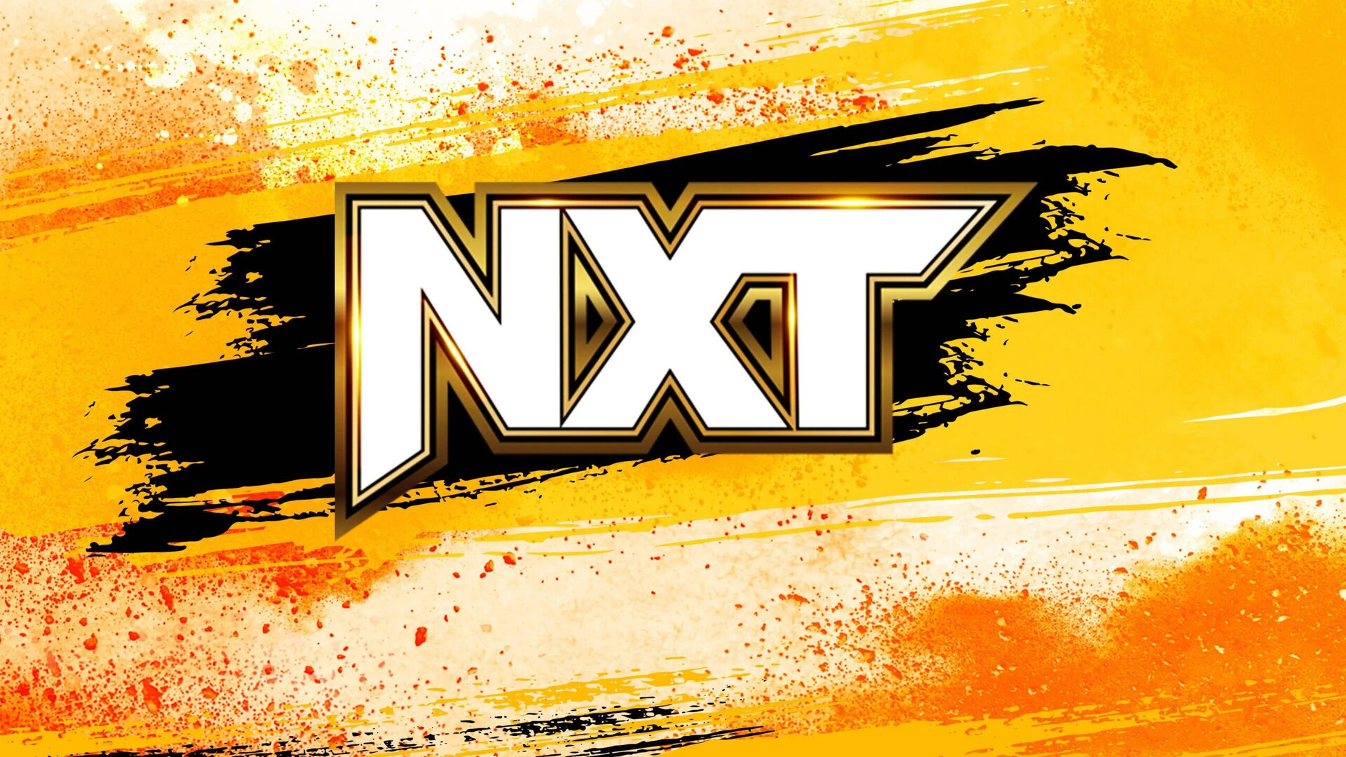WWE NXT (June 11, 2024) Match card, news, rumors, predicted matches