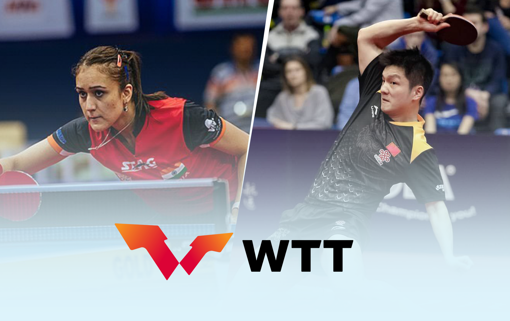 WTT Champions Incheon 2024 Updated schedule, fixtures , live streaming