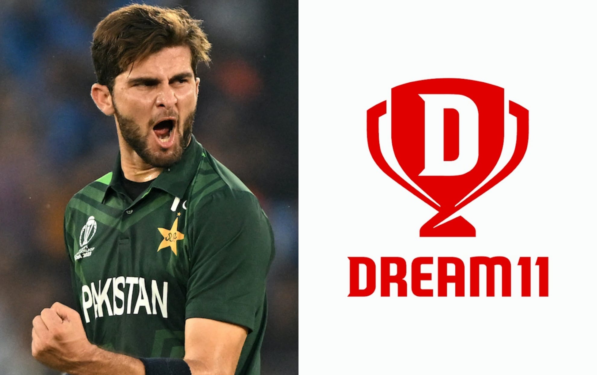 ICC T20 World Cup 2024: 5 Pakistan players you must have in your Dream11 team