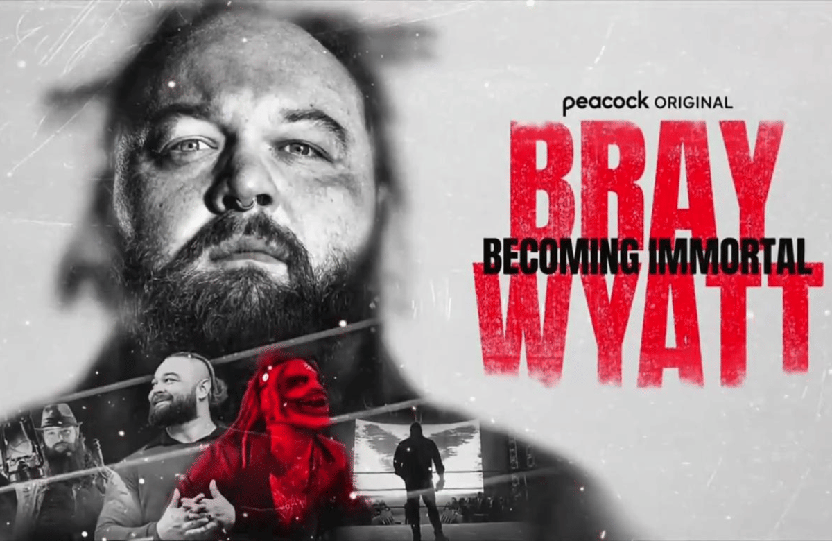 Top 10 best WWE documentaries of all time