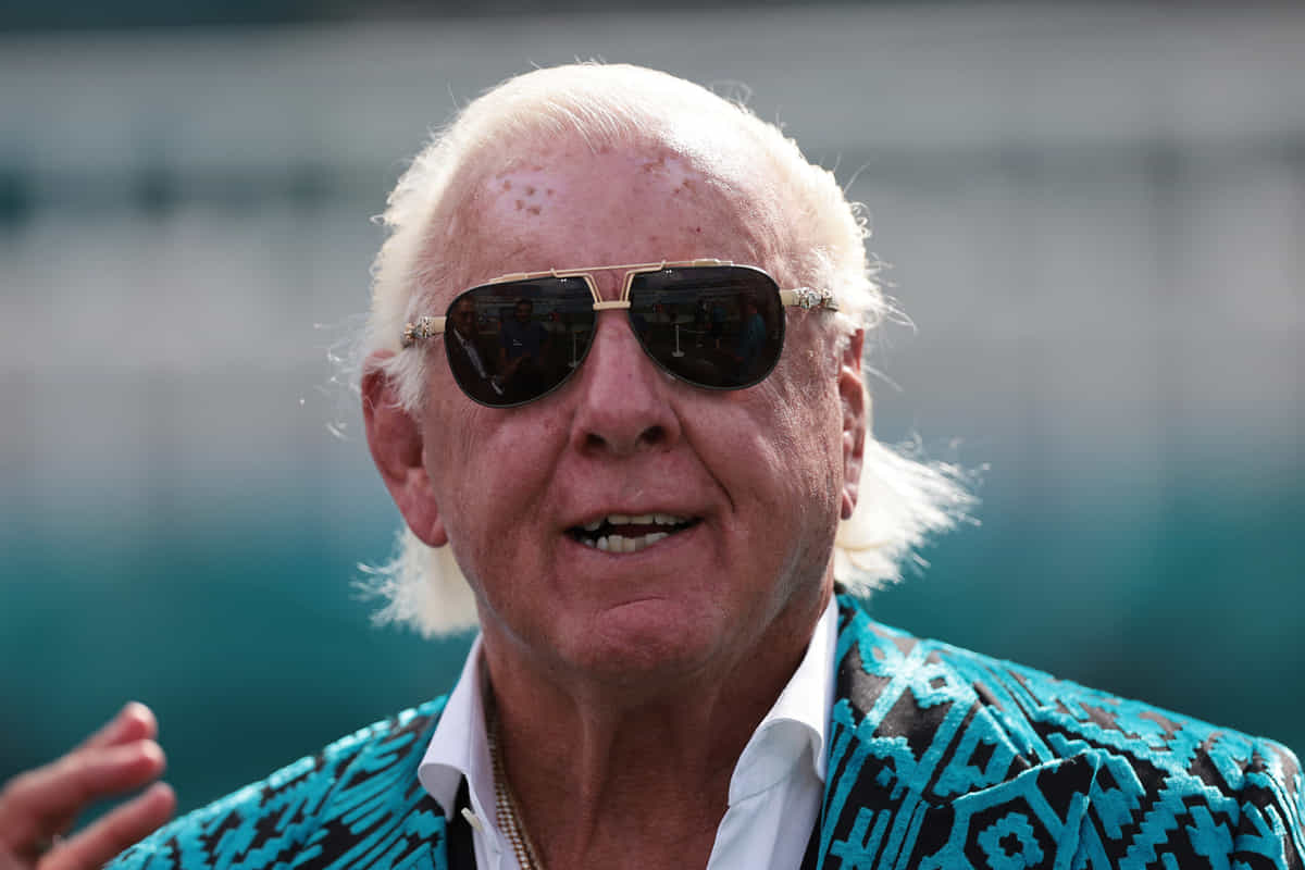 Ric Flair WWE