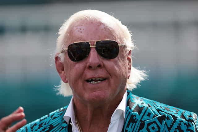 Ric Flair WWE