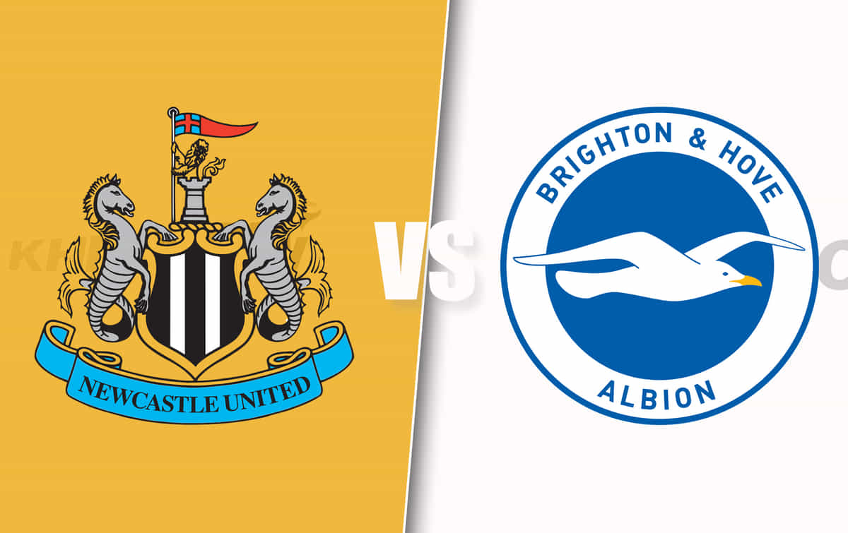 Newcastle vs Brighton Predicted lineup, betting tips, odds, injury news, H2H, telecast