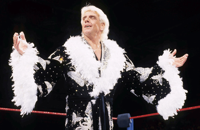 Ric Flair WWE