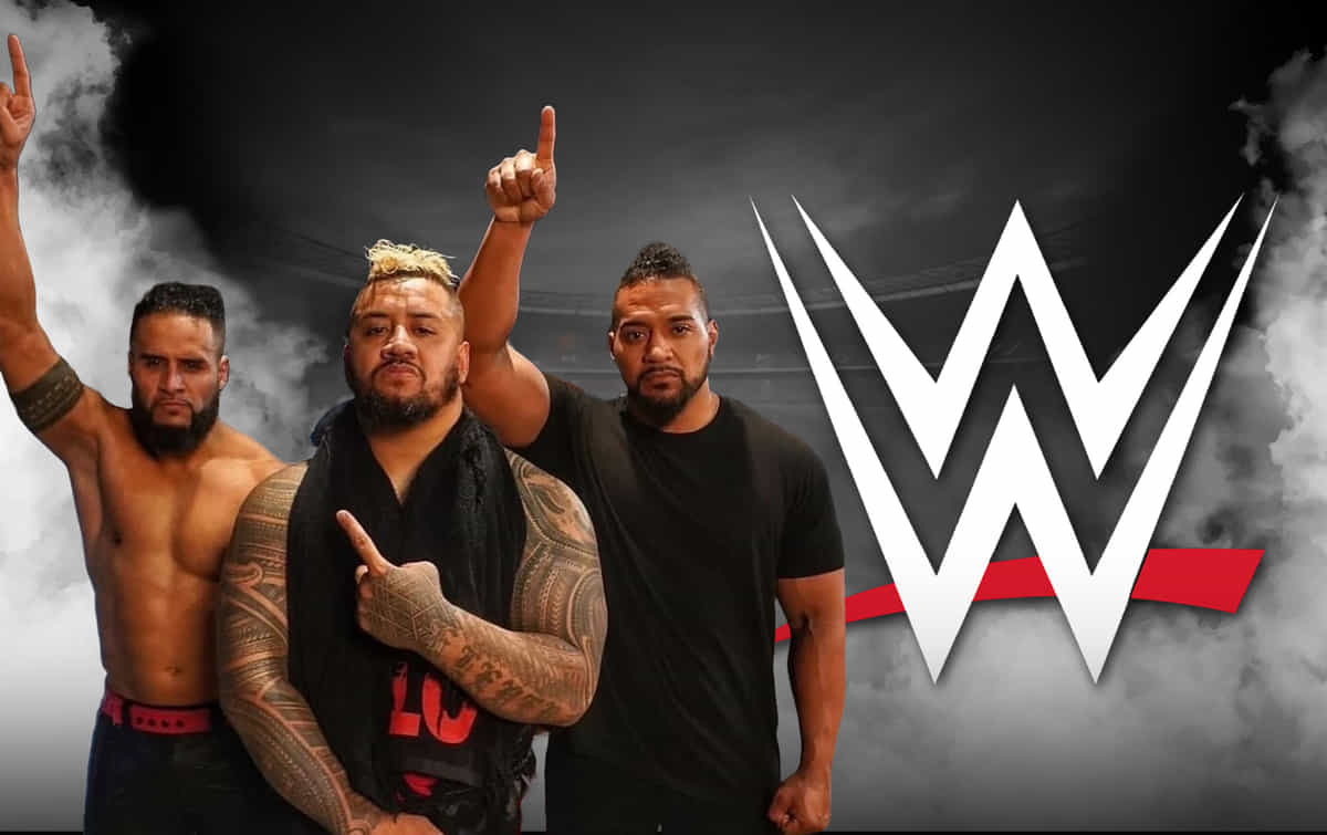 New WWE trademark hints major change in The Bloodline