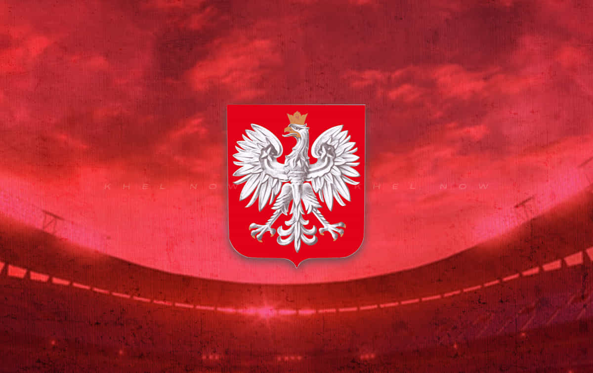 Poland announce final 26-man squad for Euro 2024; Arkadiusz Milik left out once again