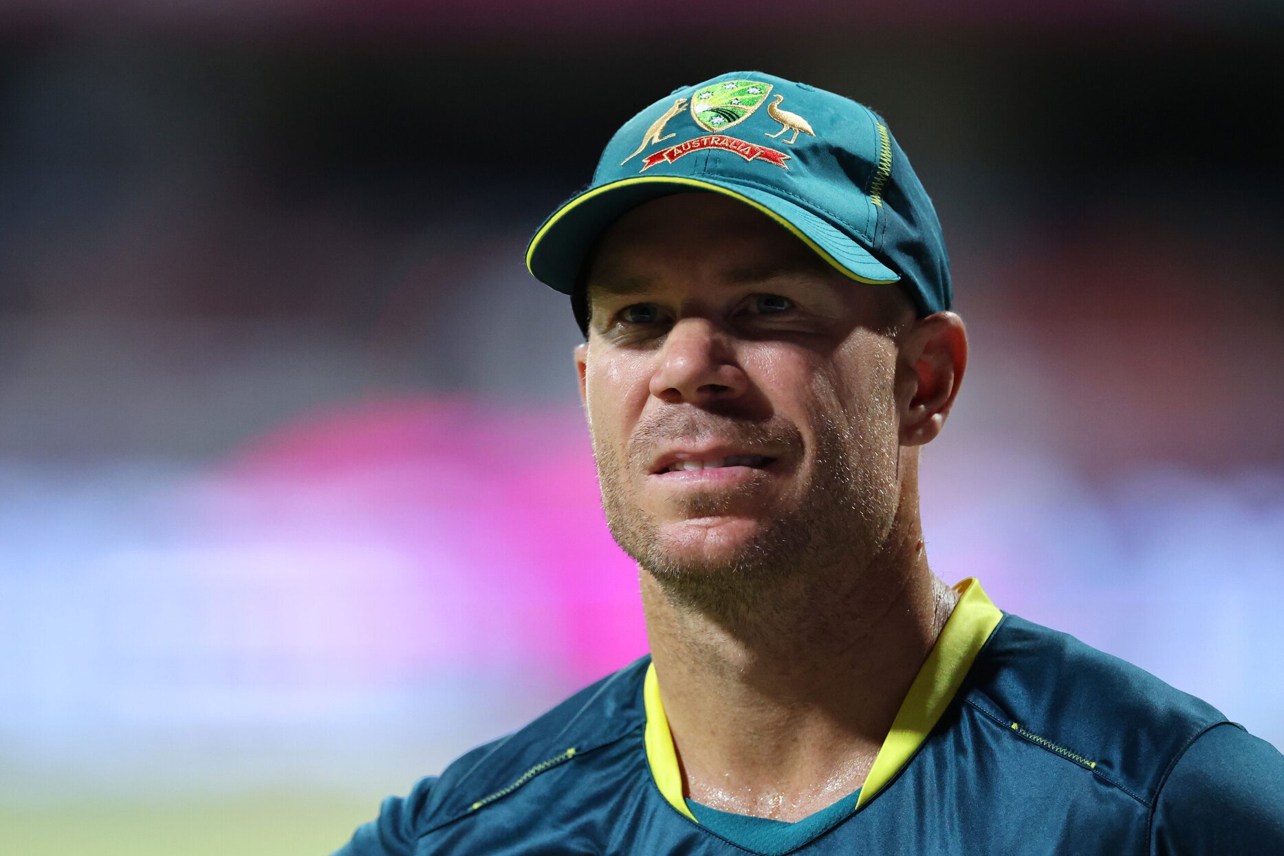 Has David Warner retired from international cricket after Australia's