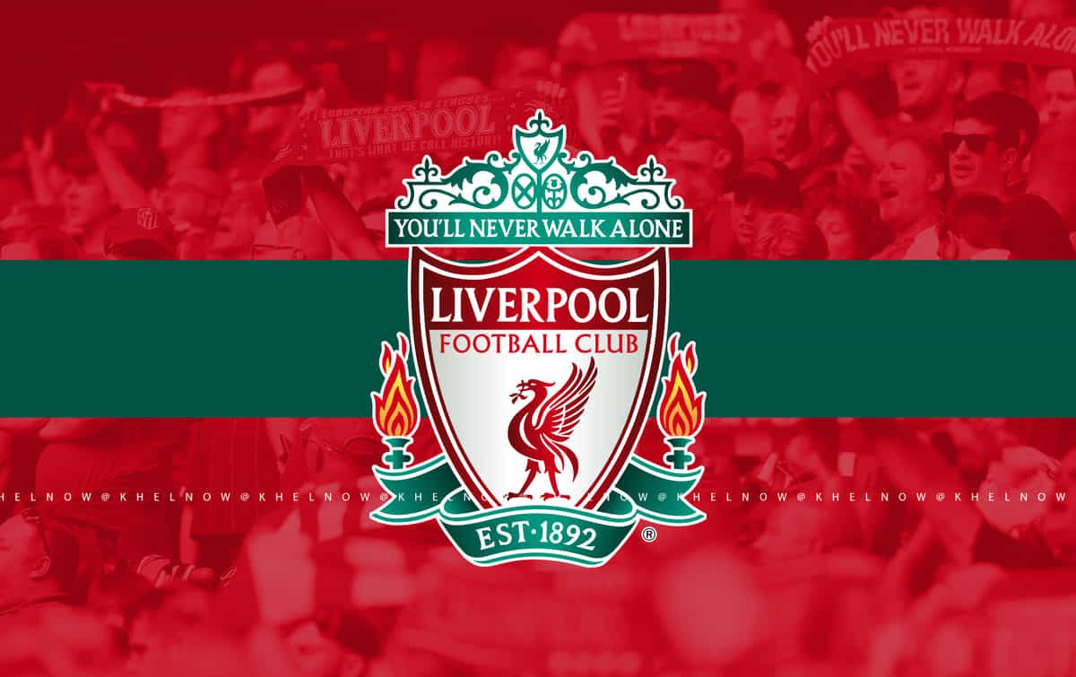 Liverpool Pre-Season 2024-25: Schedule, complete fixtures, results & telecast details