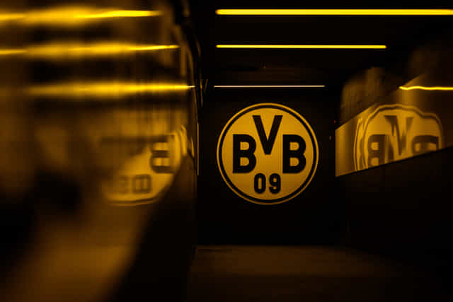 Borussia Dortmund's all transfers completed so far in 2024-25