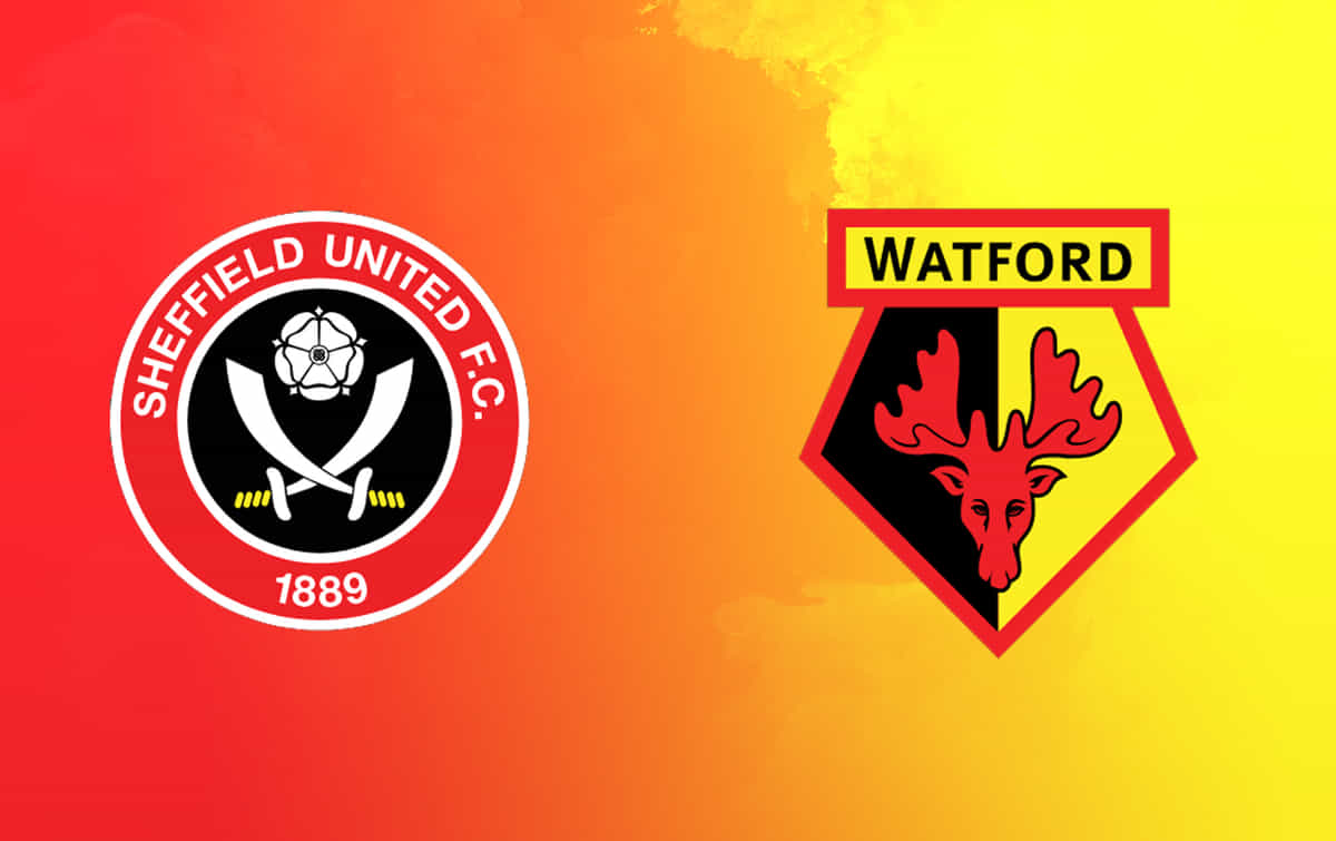 Sheffield United vs Watford Predicted lineup, betting tips, odds, injury news, H2H, telecast | EFL Championship 2024-25