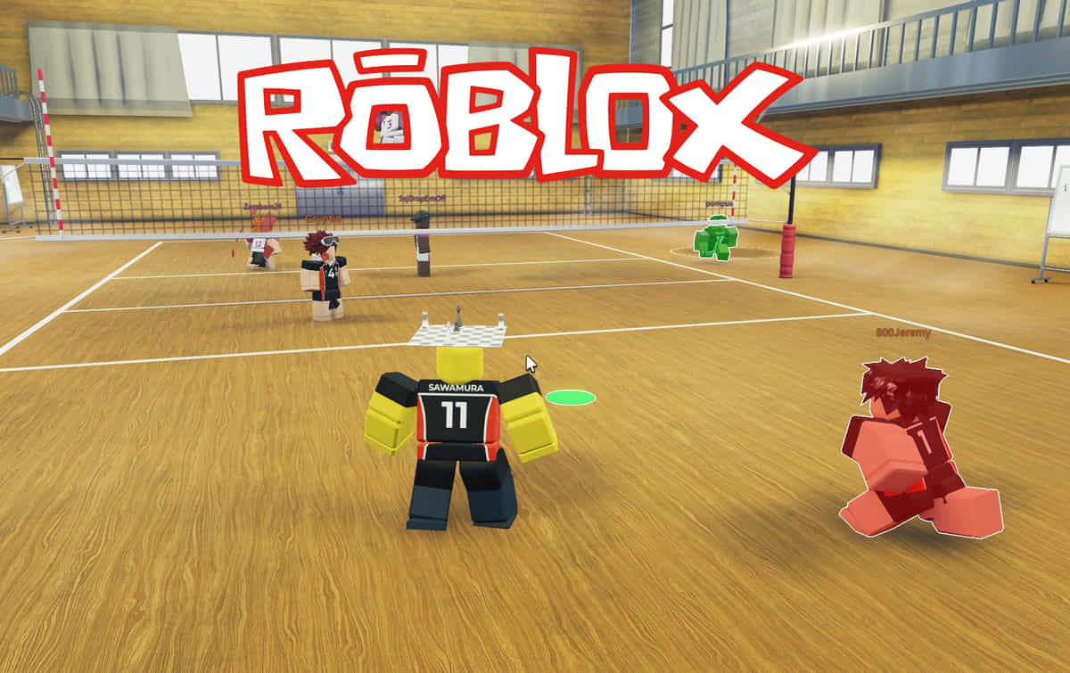 Volleyball Legends codes