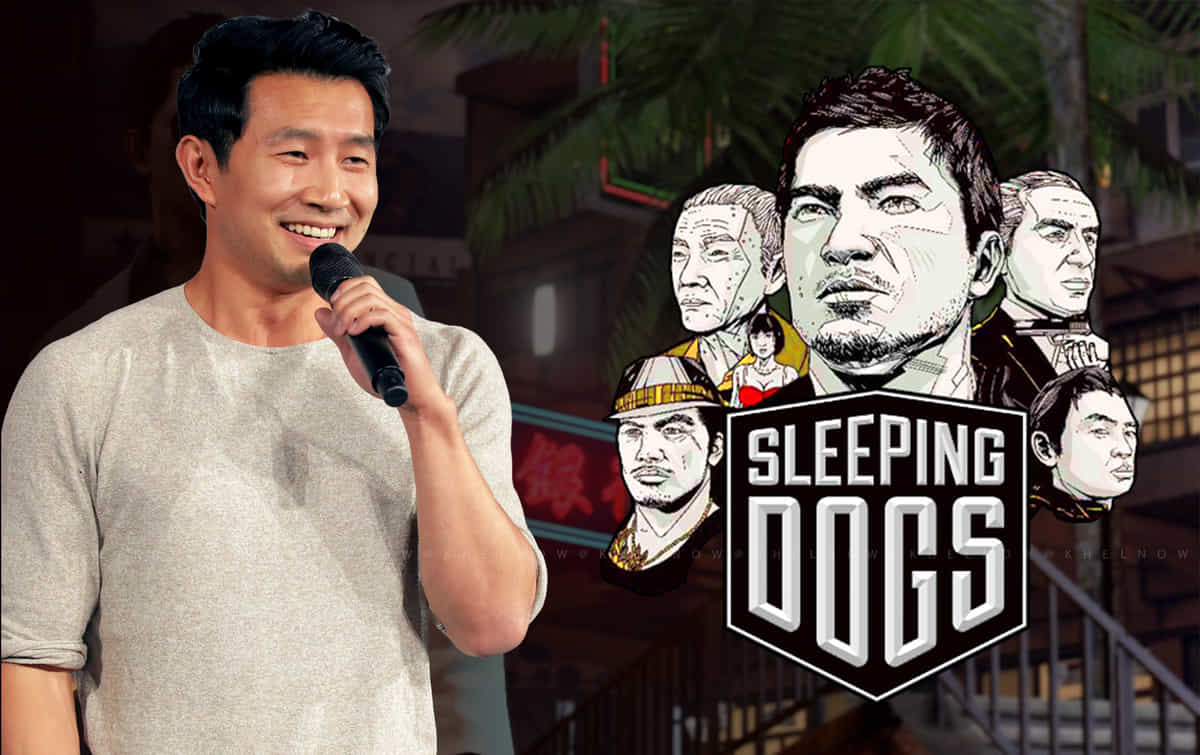 Sleeping Dogs movie