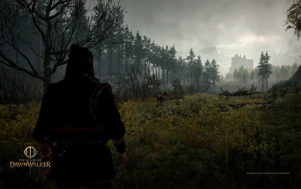 The Blood of Dawnwalker gameplay livestream: Timings & where to watch