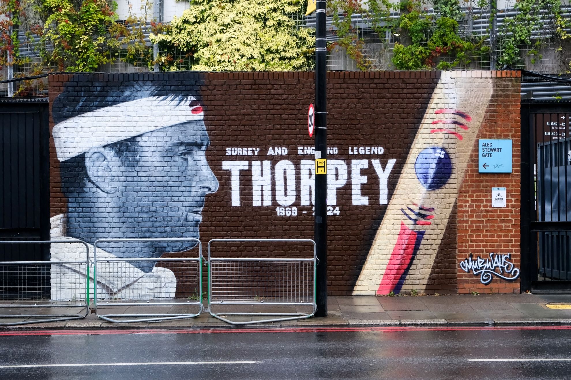 Graham Thorpe Mural Surrey