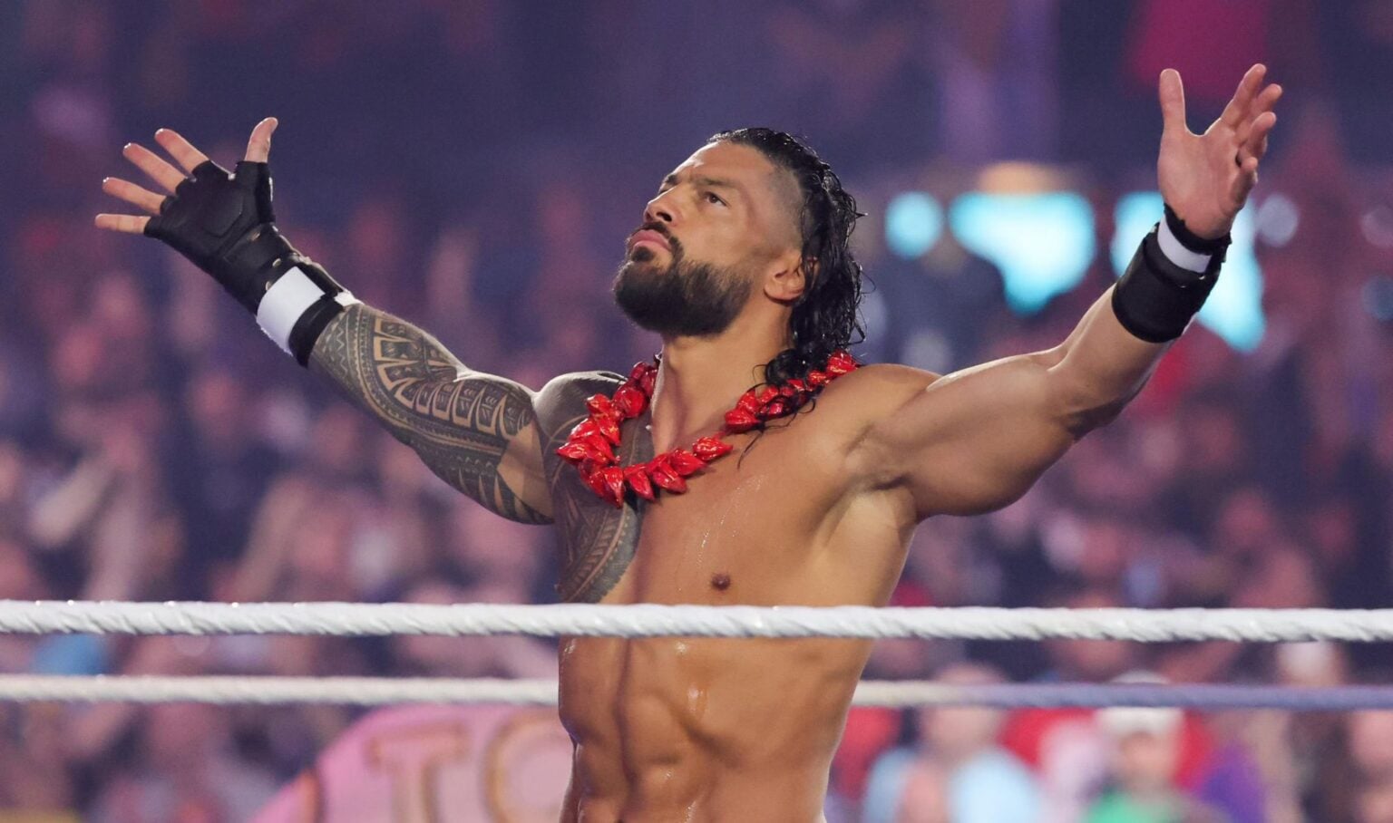 Roman Rinse Roman Reigns' WWE SummerSlam record