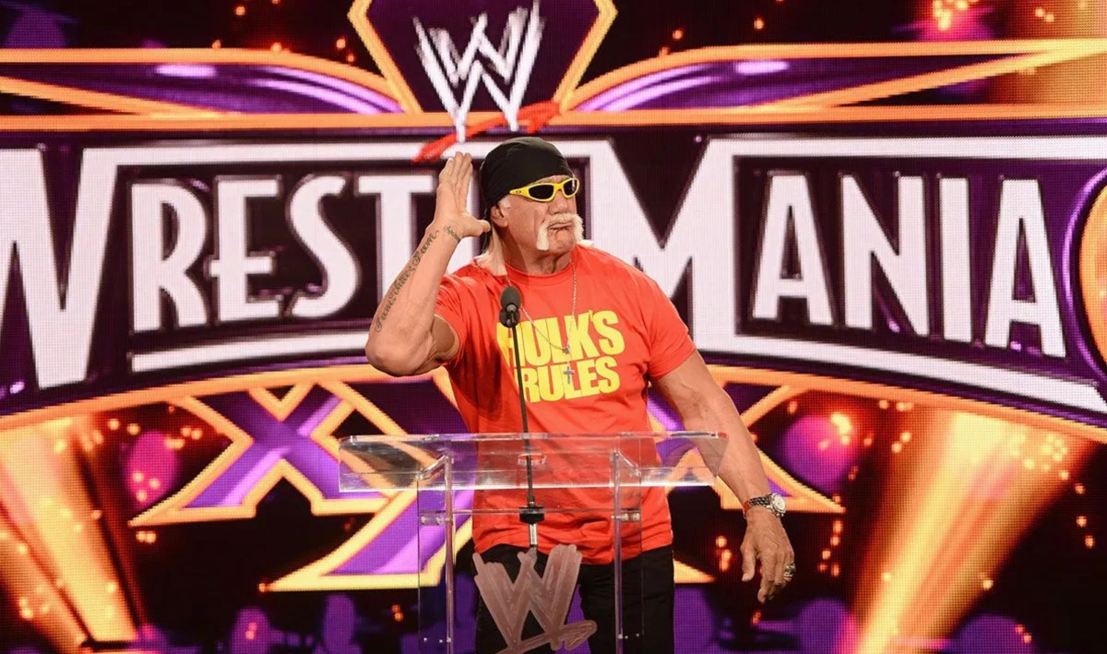 WWE Hulk Hogan