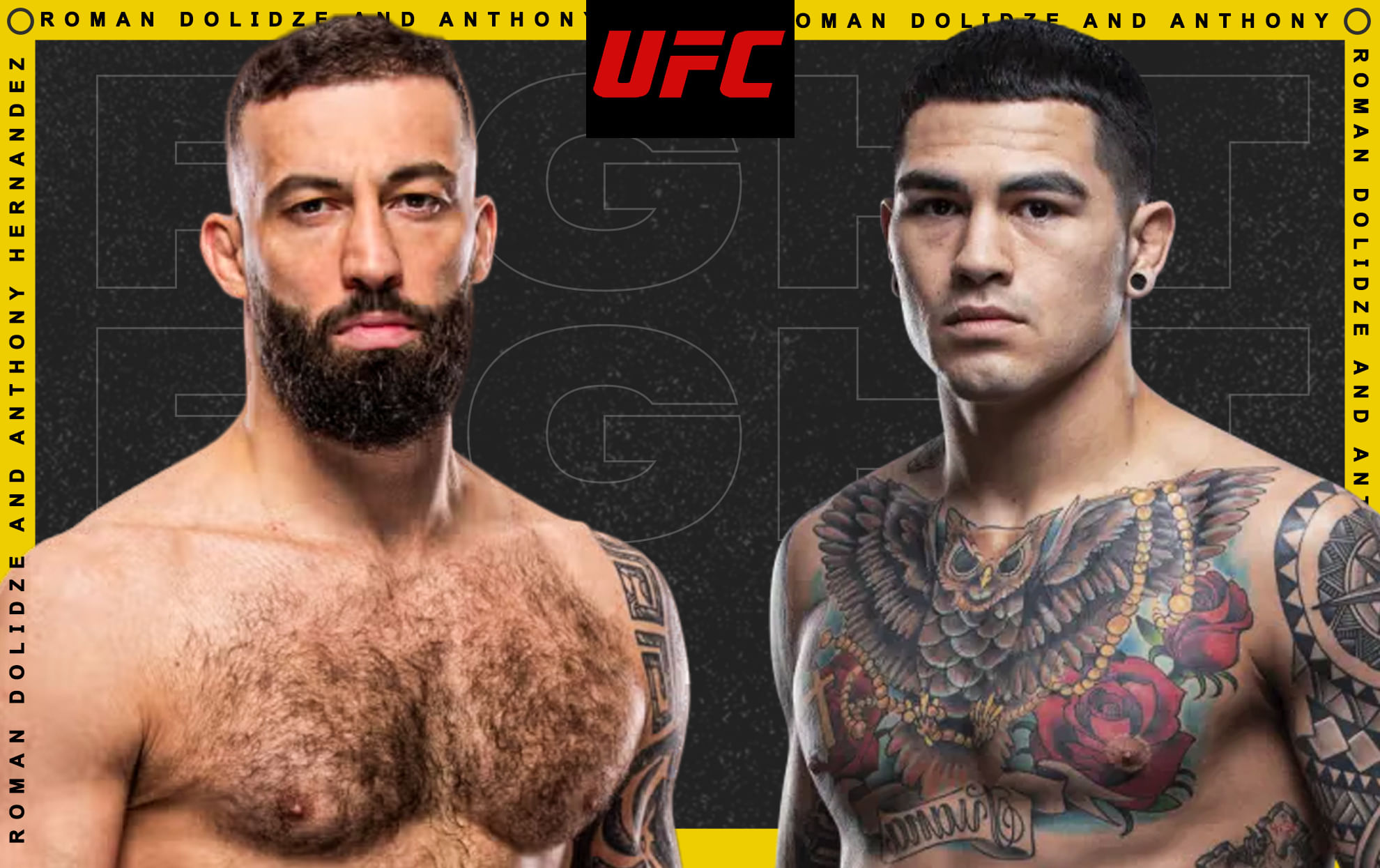 UFC Fight Night - Dolidze vs Hernandez