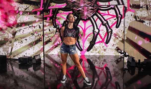 AJ Lee WWE SmackDown RAW