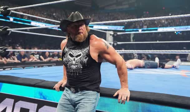 Brock Lesnar WWE SmackDown RAW Wrestlepalooza wrestler