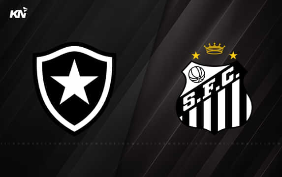 Botafogo vs Santos Preview, prediction, lineups, betting tips & odds | Campeonato Brasileiro Série A 2025