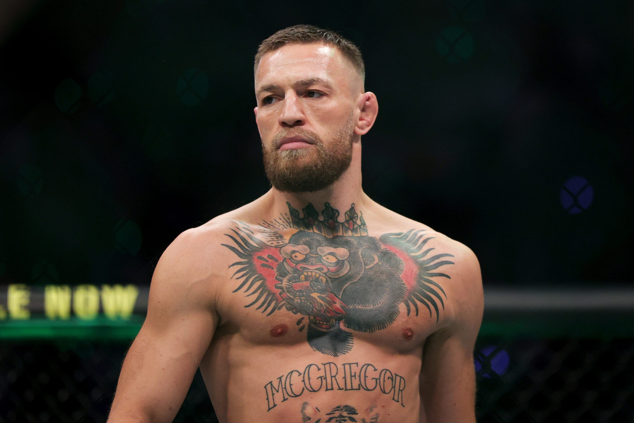 Conor McGregor UFC