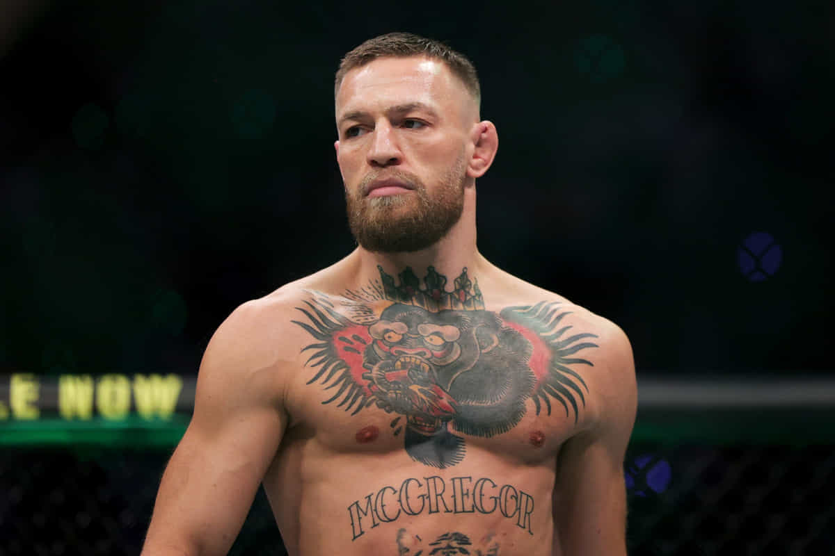 Conor McGregor UFC 329