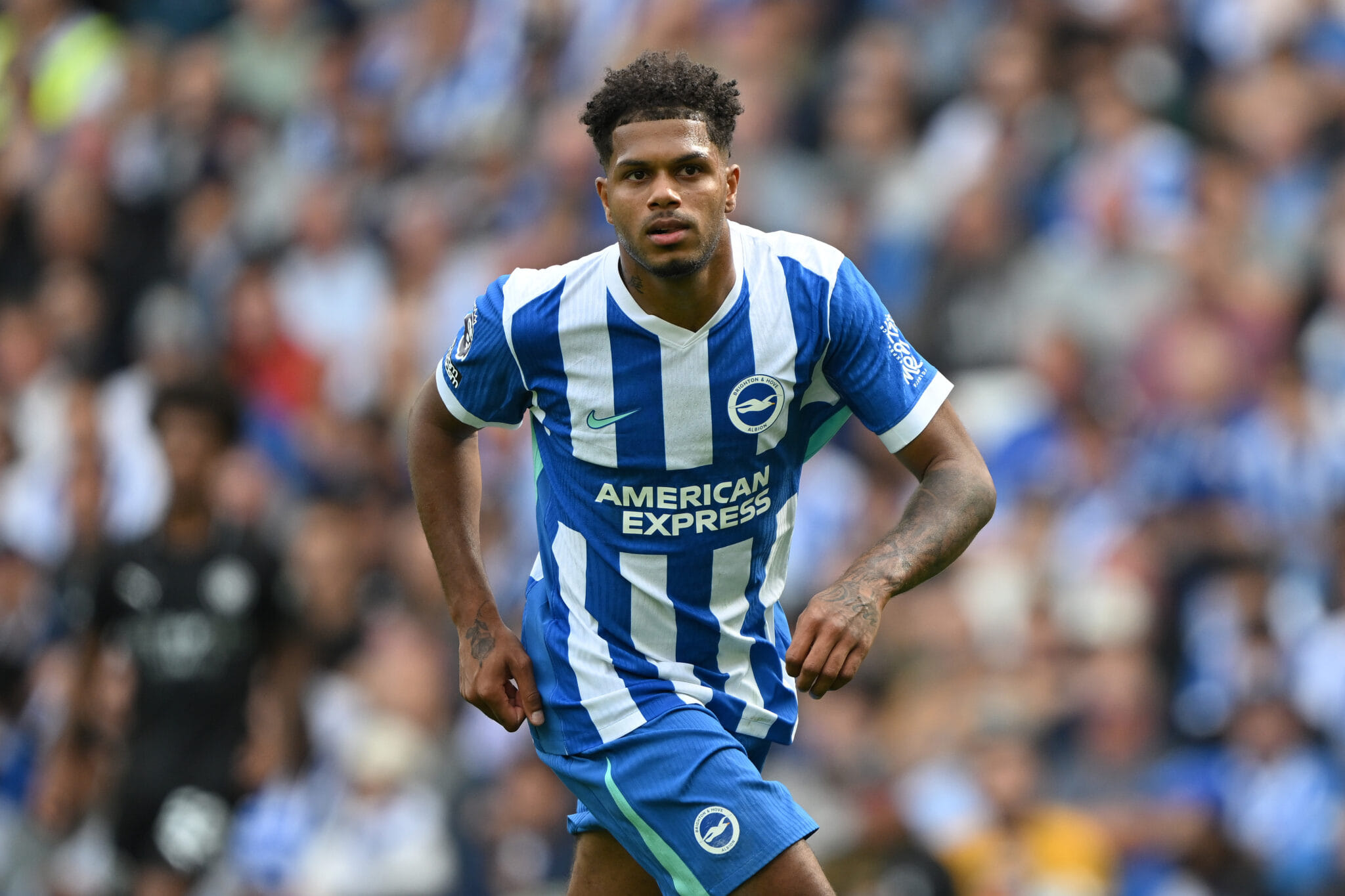 Sam Rutter Brighton Manchester City vs Brighton Preview, prediction, lineups, betting tips ...