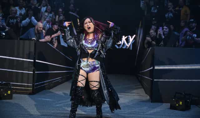 Iyo Sky WWE RAW Royal Rumble SummerSlam 2026