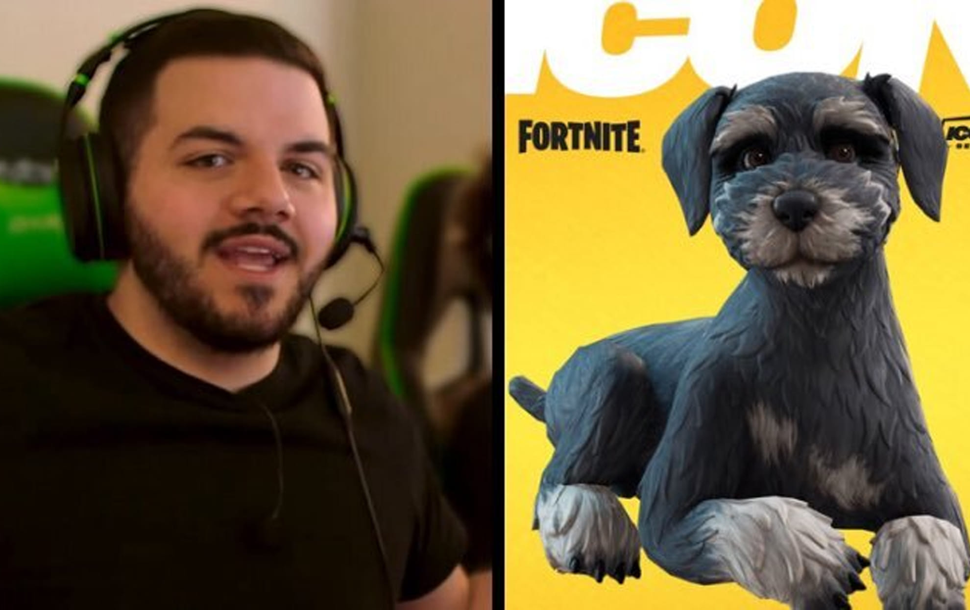 CouRageJD's Dog Louis