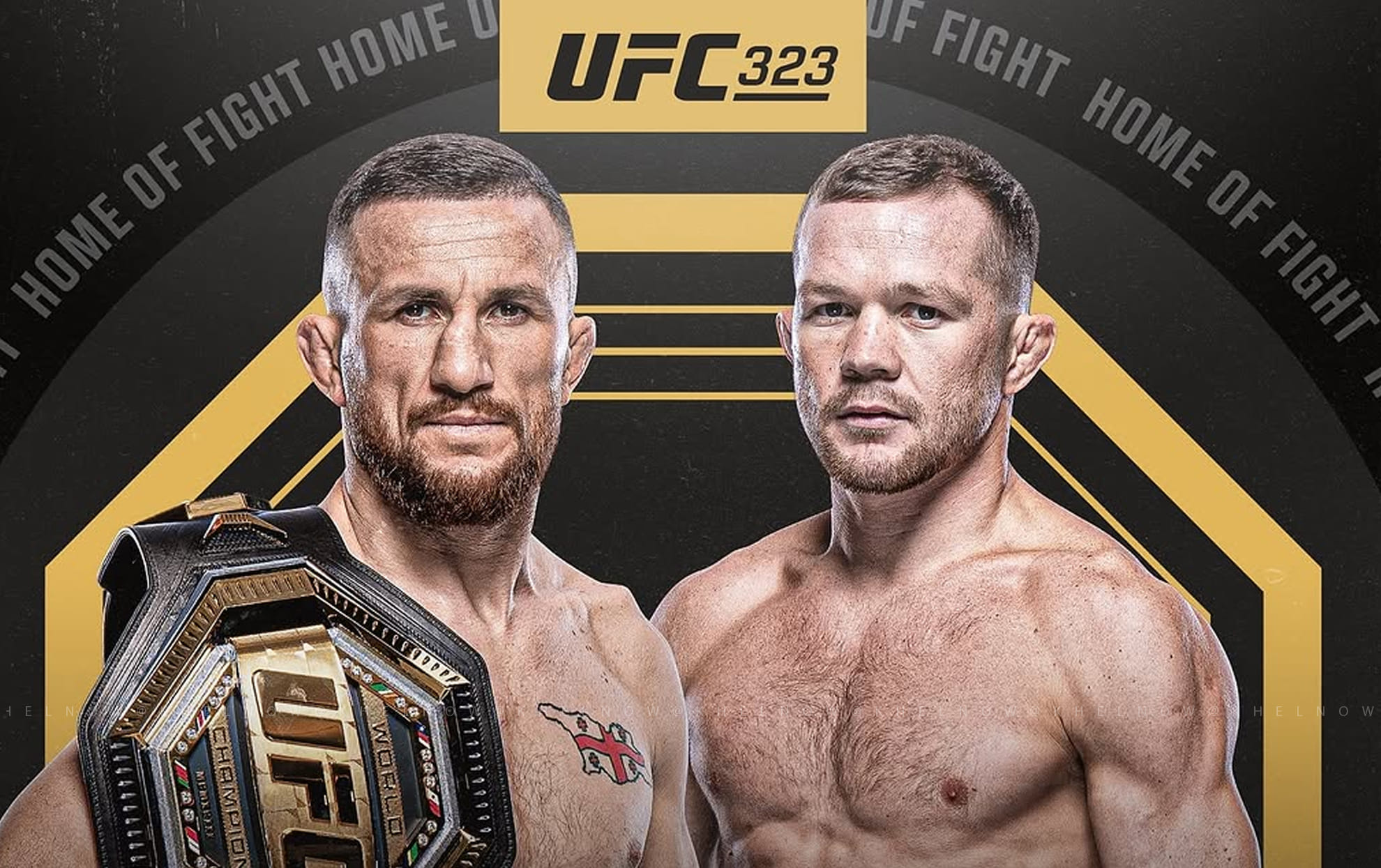 ufc 323 merab dvalishvili vs Petr yan 2