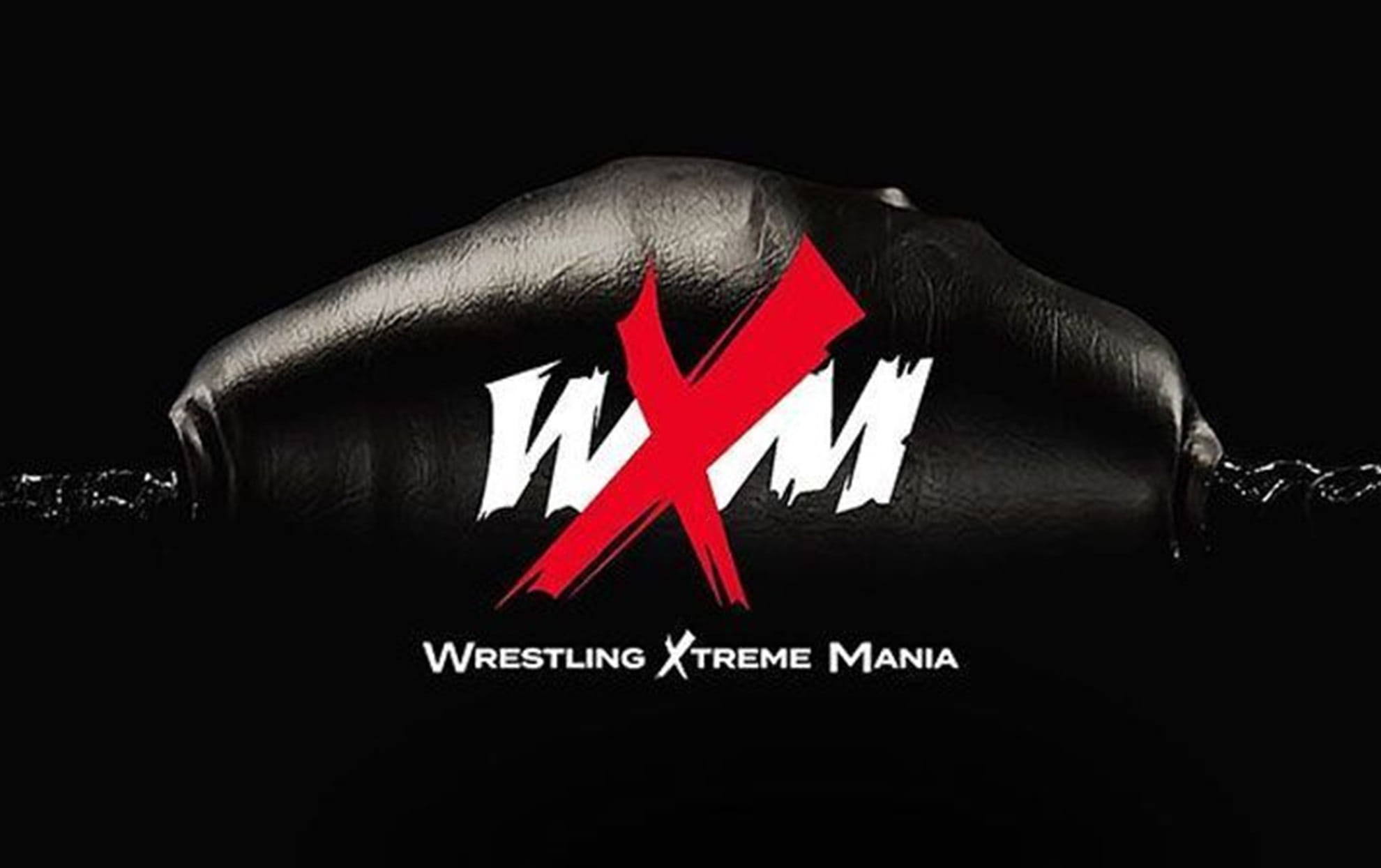 Wrestling Xtreme Mania