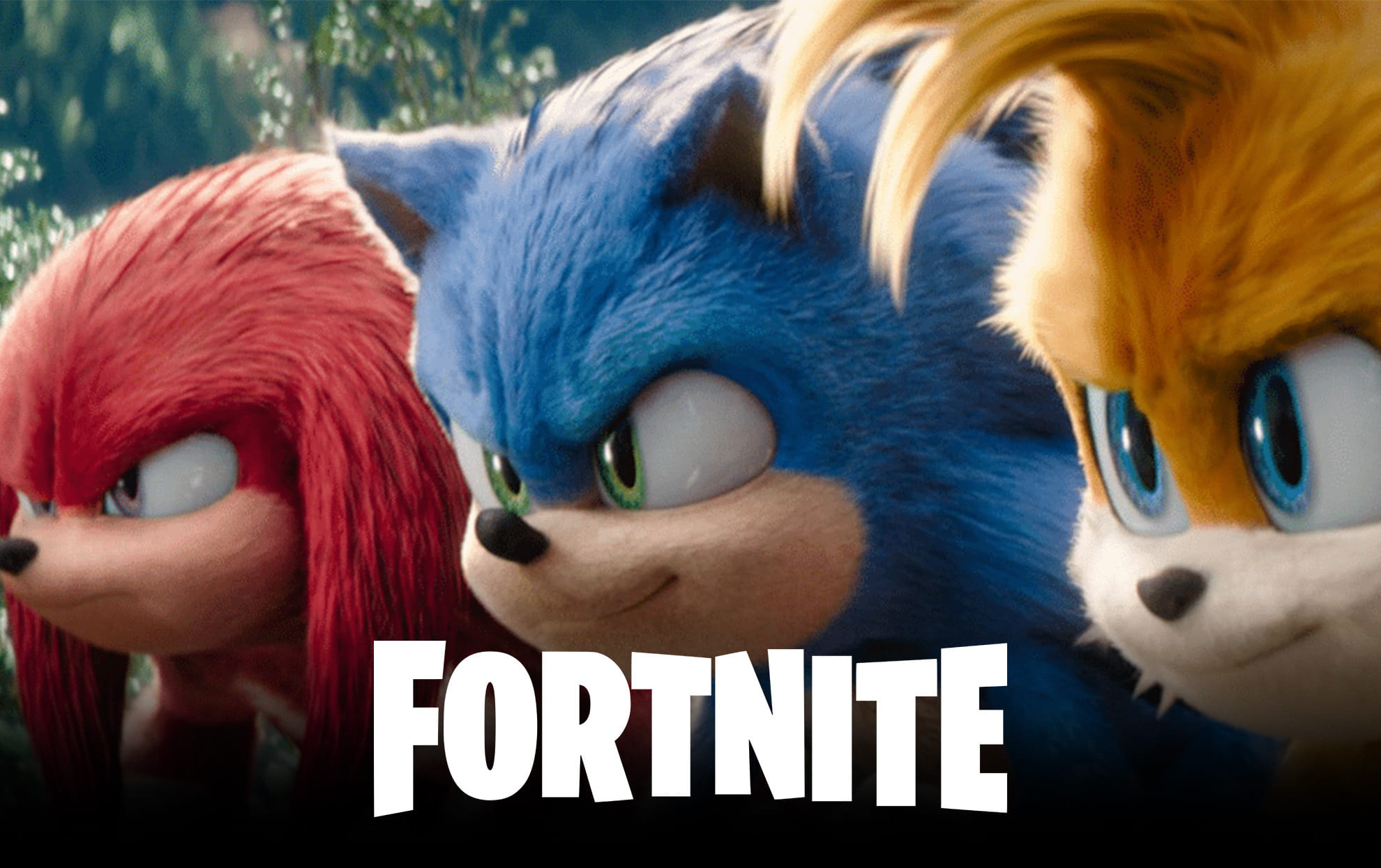 Fortnite Sonic