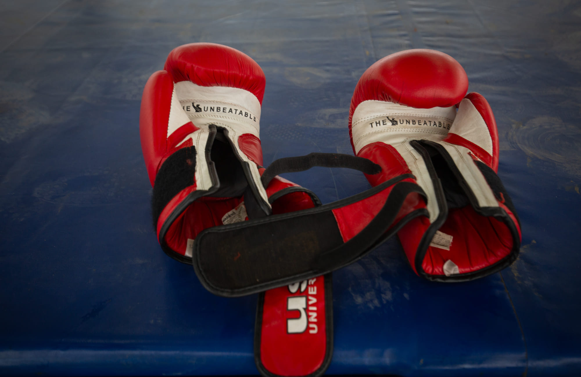 India to field 10-member contingent at World Boxing Futures Cup 2026