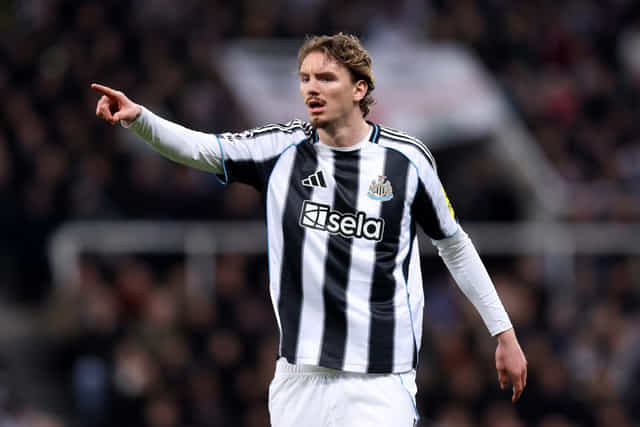 Nick Woltemade Newcastle United FC Premier League