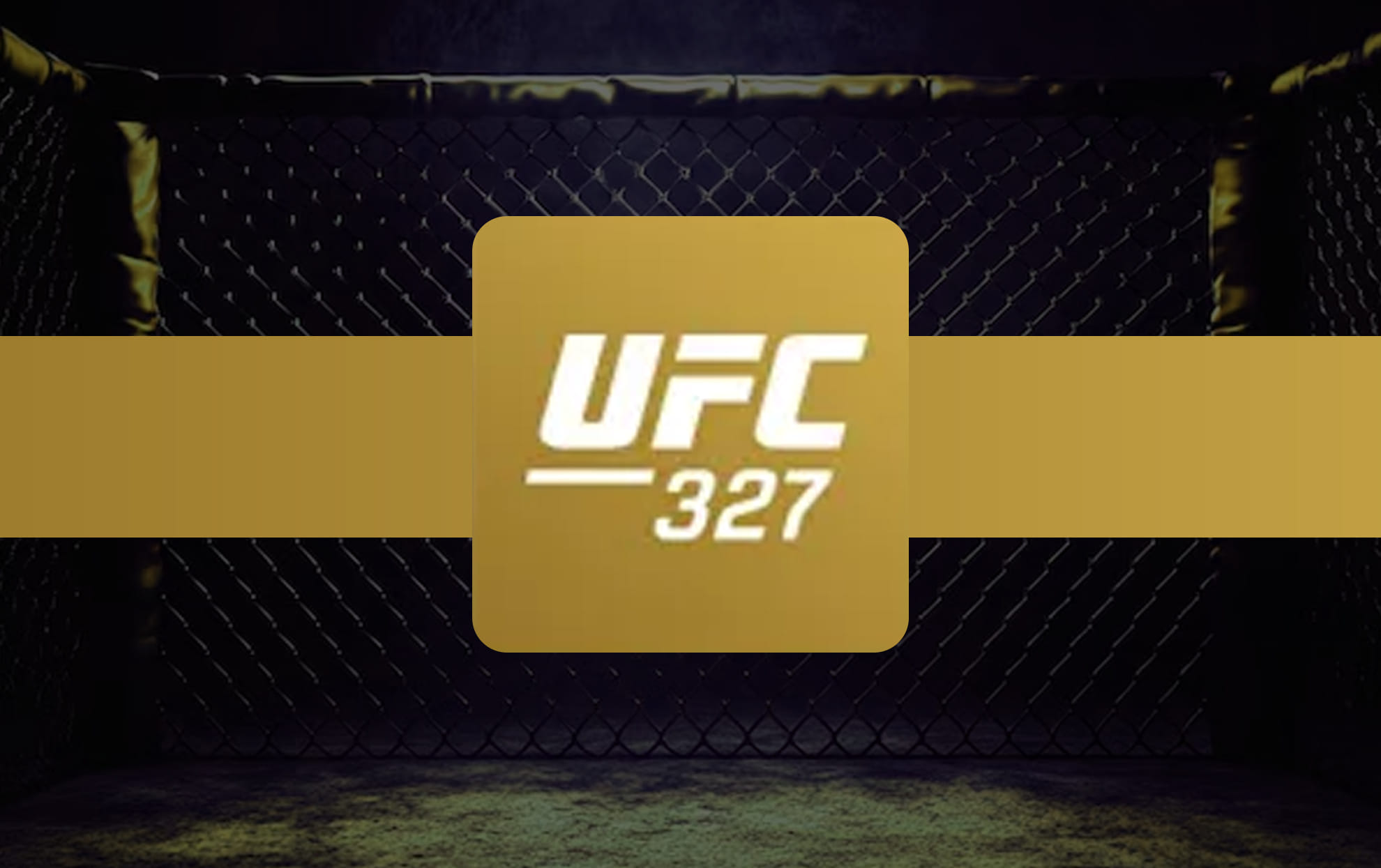 UFC 327 Prochazka vs Ulberg