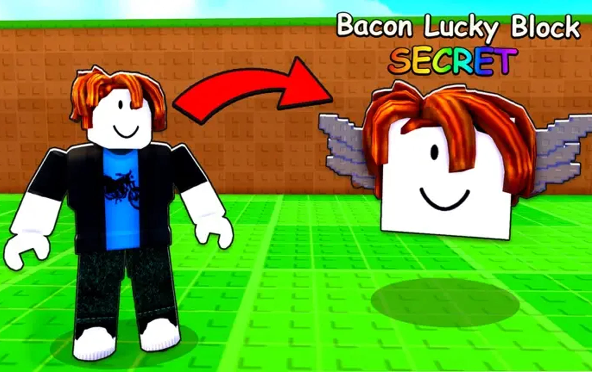 Be a Lucky Block codes