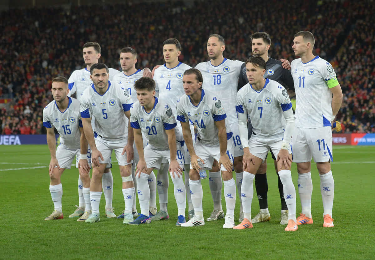Bosnia and Herzegovina - FIFA World Cup 2026 European Qualifiers KO play-offs