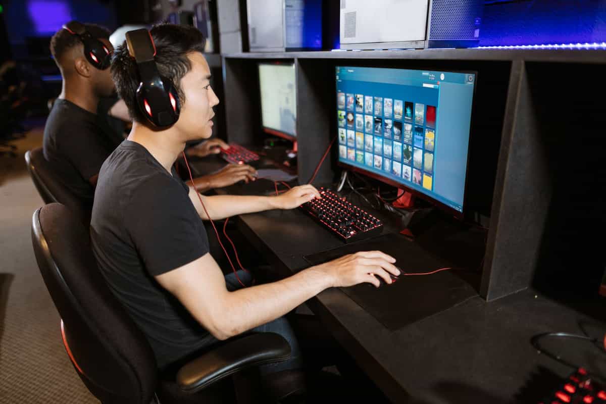 sports betting payouts New Zealand